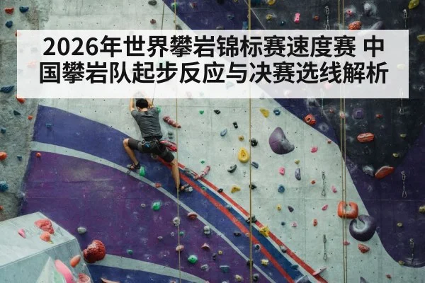 sport climbing speed wall competition